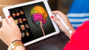 Anatomy Learning - 3D Anatomy Atlas
