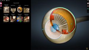 Anatomy Learning - 3D Anatomy Atlas